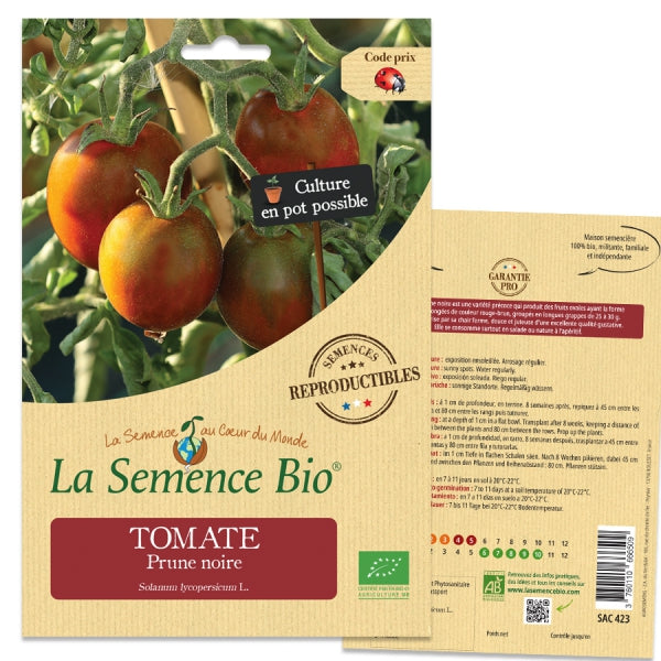 oude-rassen-biologisch-zaden-tomaat-prune-noire-seeds-of-regeneration