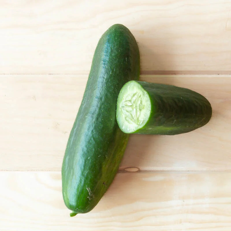 biologisch-oude-rassen-zaden-komkommer-tendergreen-seeds-of-regeneration