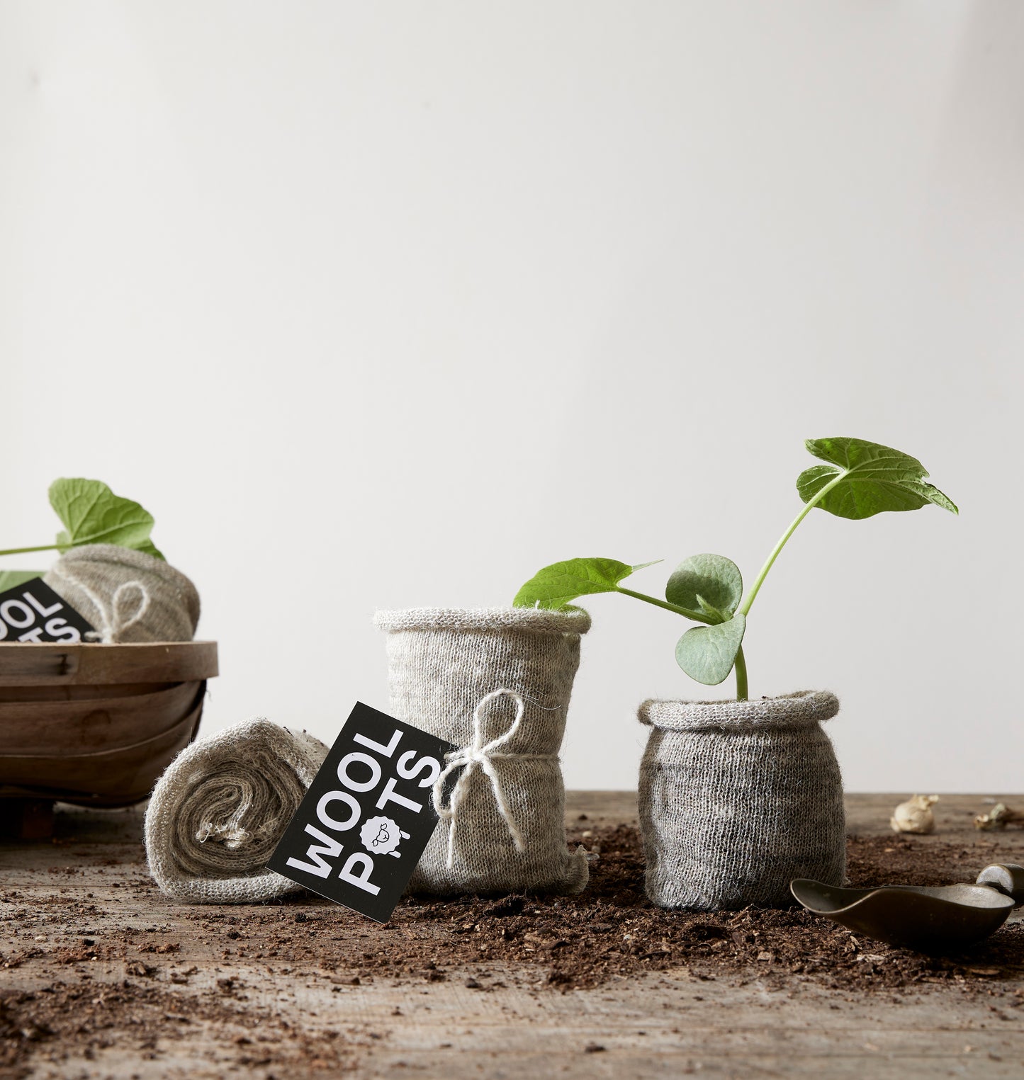 Wollen Plantpotten “Pack van 10” | Duurzaam Tuinieren