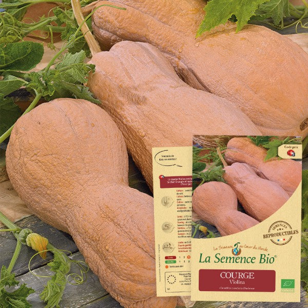 biologisch zaden - violina- oude rassen- seeds of regeneration