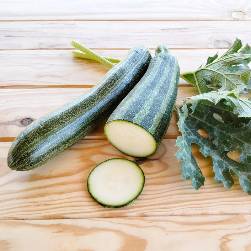 courgette-biologisch-zaden-striato-seeds-tuineren-seeds-of-regeneration