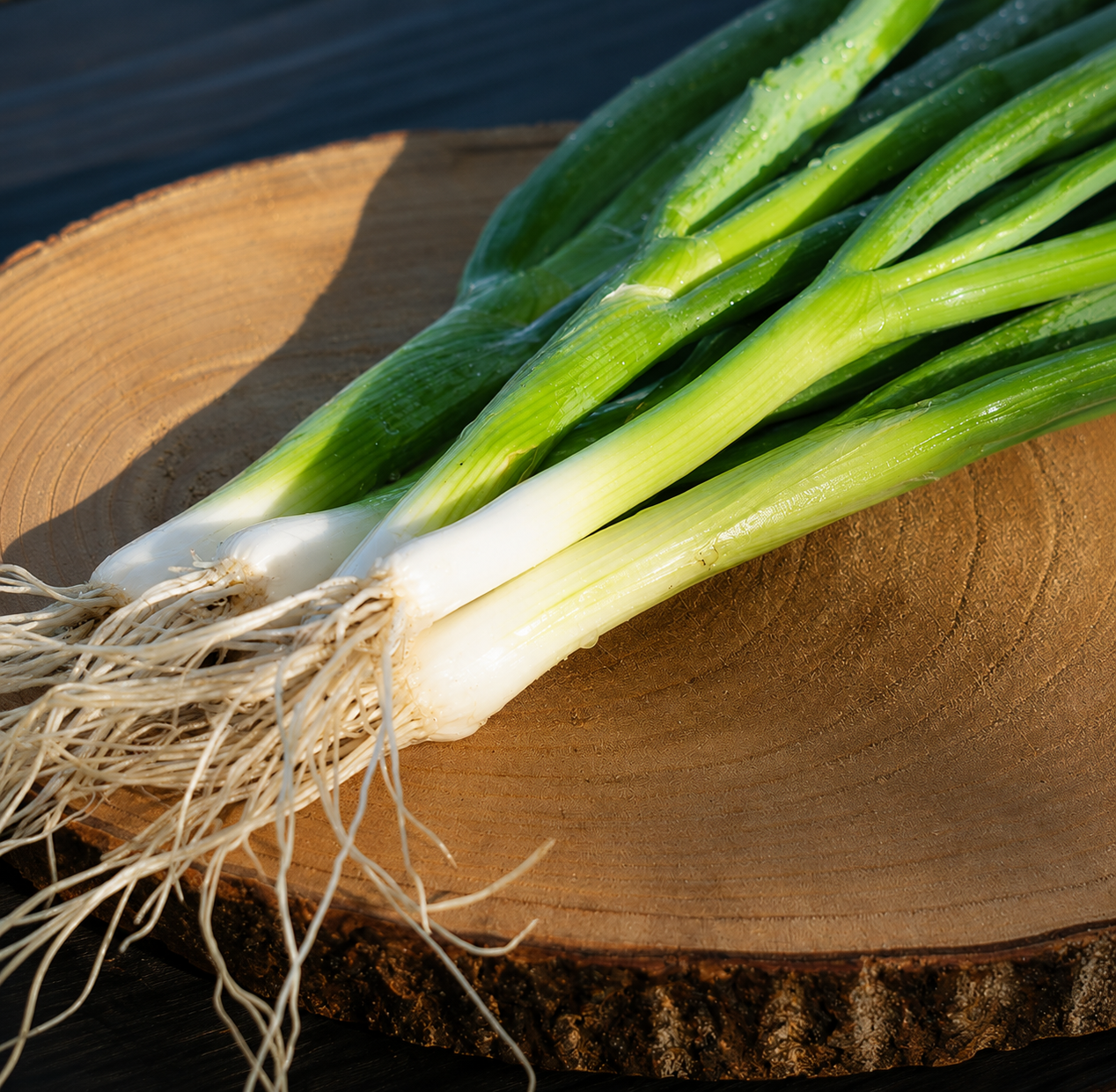 Ishikura bosui zaadjes op houten schaal — Seeds of Regeneration