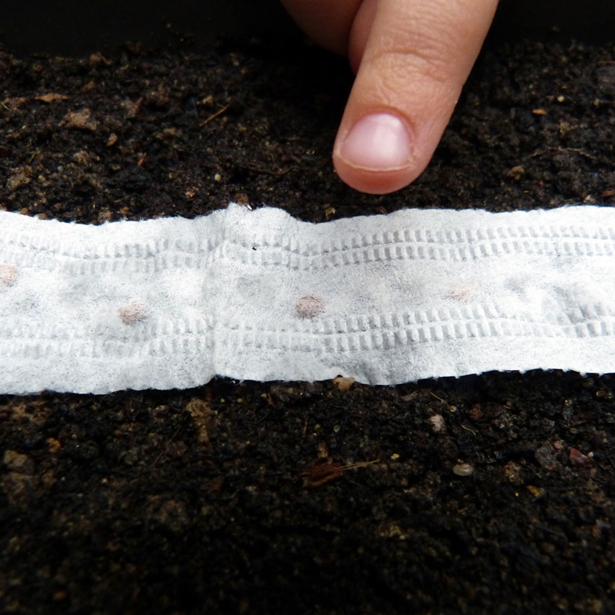 Zaad lint voor de moestuin - raap - biologish