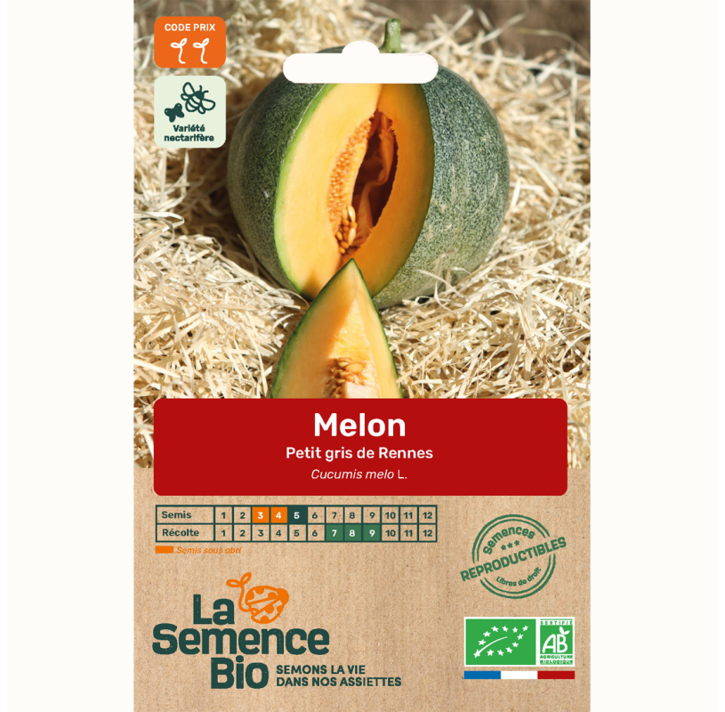 Zaadje Petit Gris de Rennes meloen van Seeds of Regeneration — biologisch oud ras