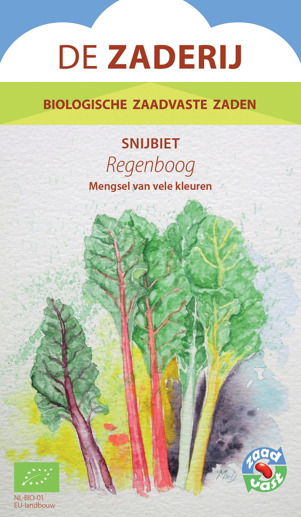 snijbiet-regenboog-oude-rassen-biologisch-seedsofregeneration