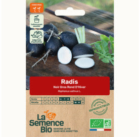 Winterradijs / Rammenas "Noir Gros Rond D'Hiver" | Biologische erfgoedzaden | Oud Ras