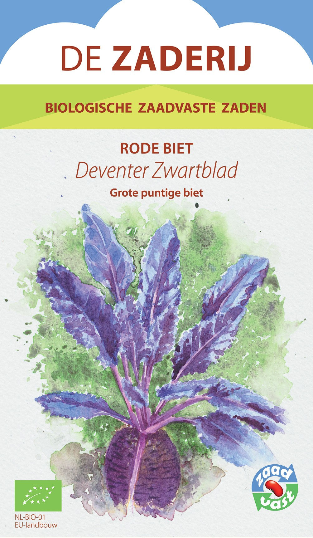 Rode_biet_Zwartblad-biologisch-zaden-moestuin-seedsofregeneration