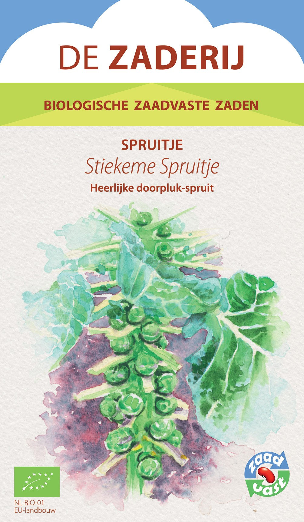 Spruitje_Stiekem_erfgoedzaden_-_biologisch_zaden_-_seedsofregeneration