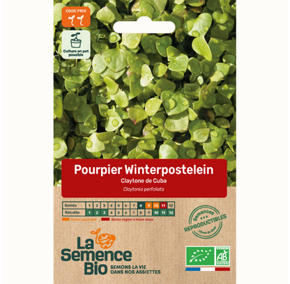 Zaadje van Seeds of Regeneration — Winterpostelein, biologisch en zaadvast
