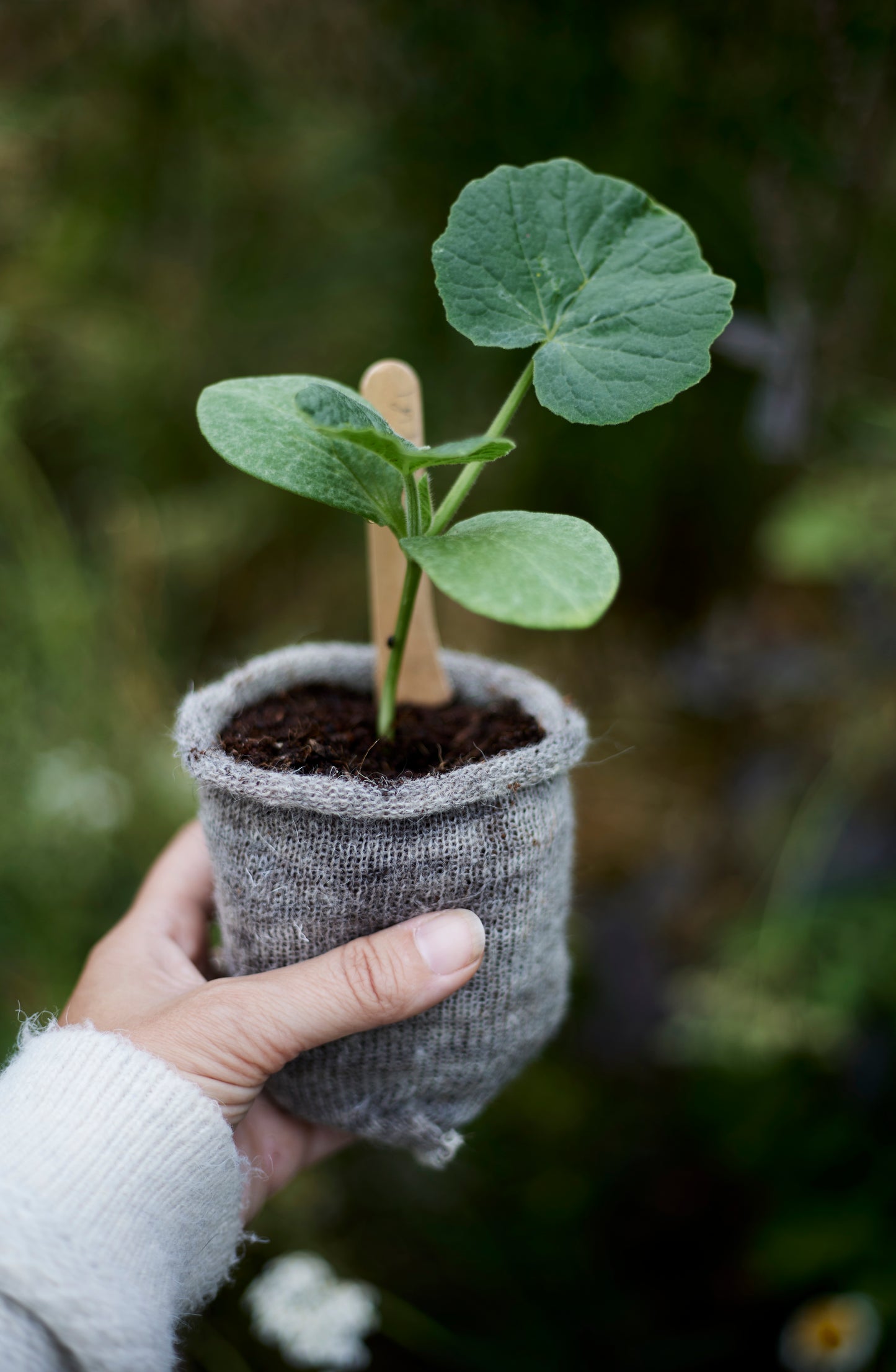 Wollen Plantpotten “Pack van 10” | Duurzaam Tuinieren