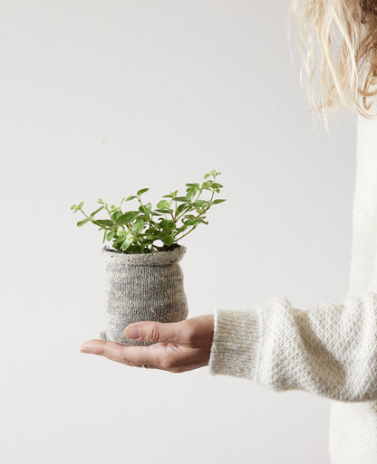 Wollen Plantpotten “Pack van 10” | Duurzaam Tuinieren