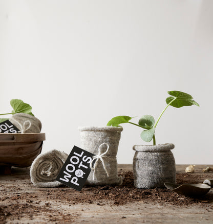 Wollen Plantpotten “Pack van 10” | Duurzaam Tuinieren
