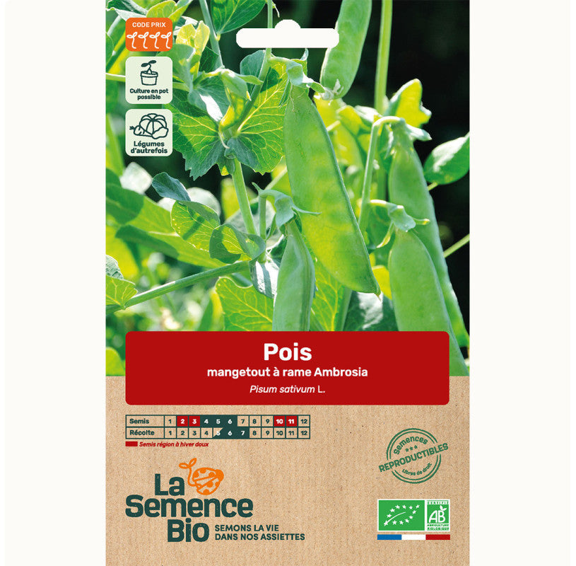 Stokpeul Ambrosia | Biologische erfgoedzaden | Oud Ras