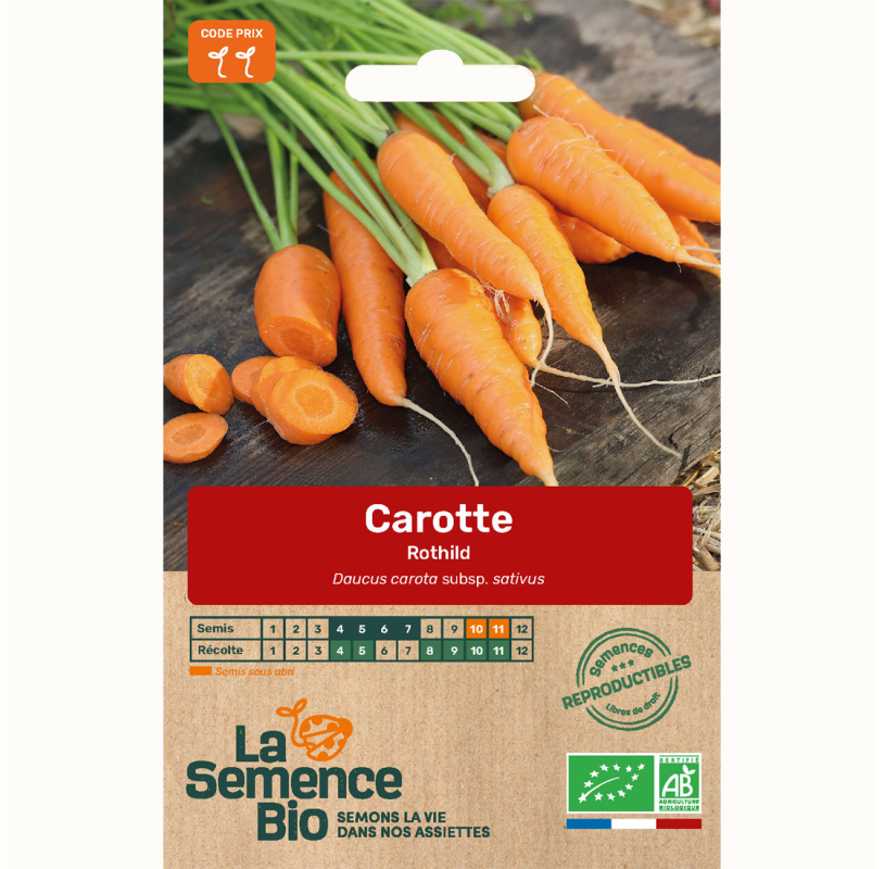 Zaadje Rothild wortel van Seeds of Regeneration — biologisch oud ras