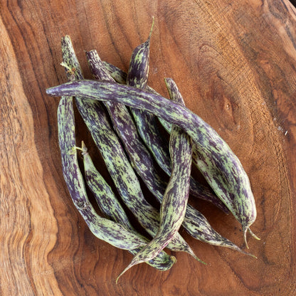 biologisch-zaden-boon-oud-ras-seedsofregeneration
