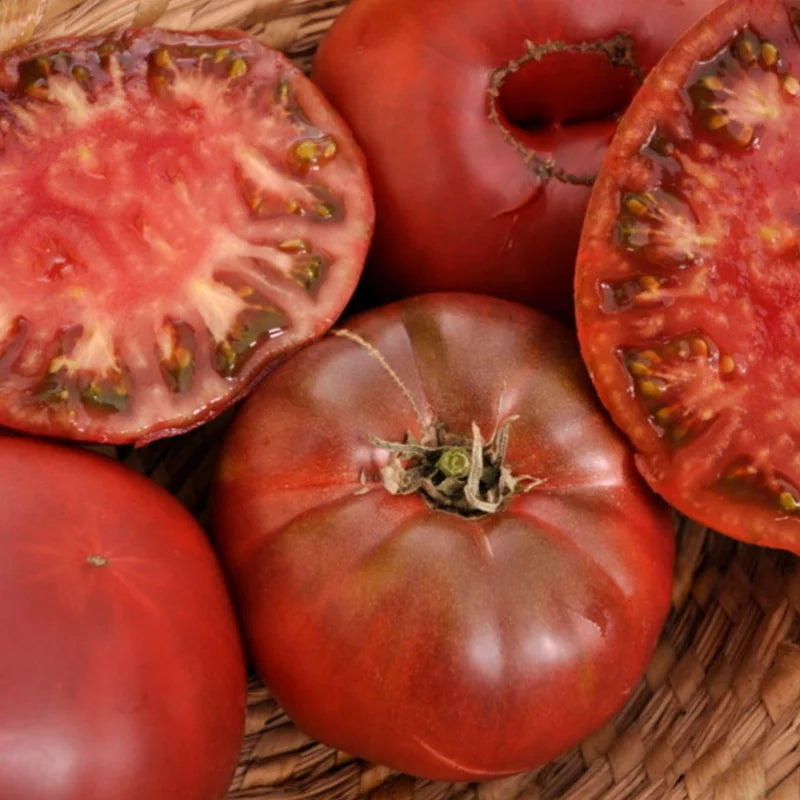 noire de crimme biologisch zaden - tomato - seeds of regeneration
