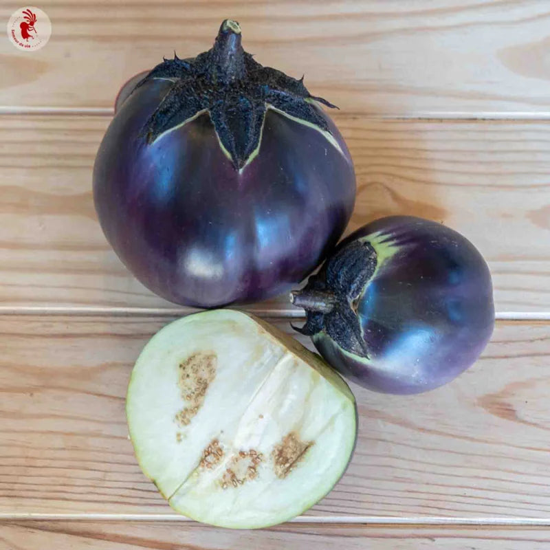 Aubergine 'Ronde de Valence' | Biologische erfgoedzaden | Oud Ras
