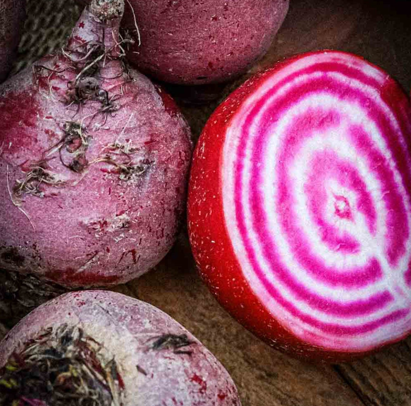 biologisch-zaden-bietroot-chiogga-seedsofregeneration
