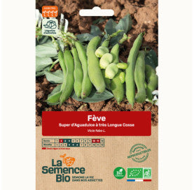 Tuinboon Superaquadulce | Biologische erfgoedzaden | Oud Ras