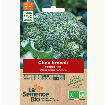Brocolli "Calabrais Hâtif" / Calabrese | Biologische erfgoedzaden | Oud Ras