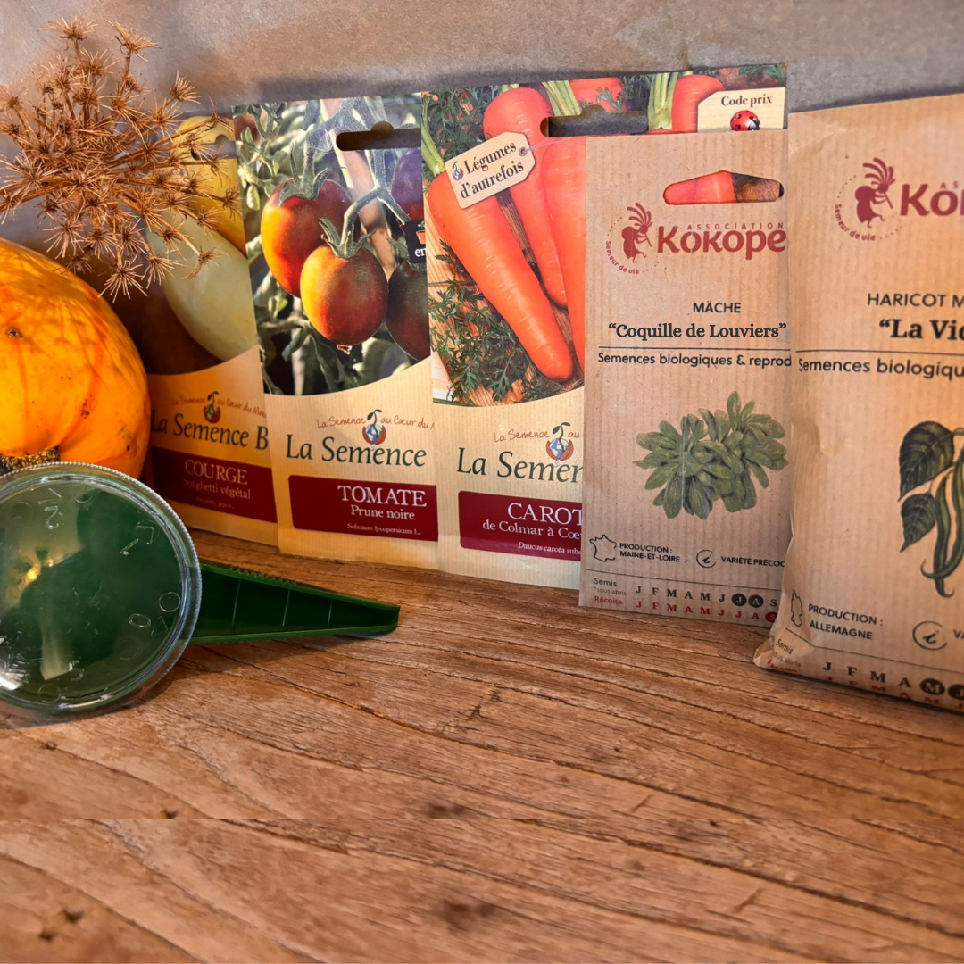 Vijf biologische zaadzakjes netjes uitgestald naast een witte zaaddispenser op een houten ondergrond