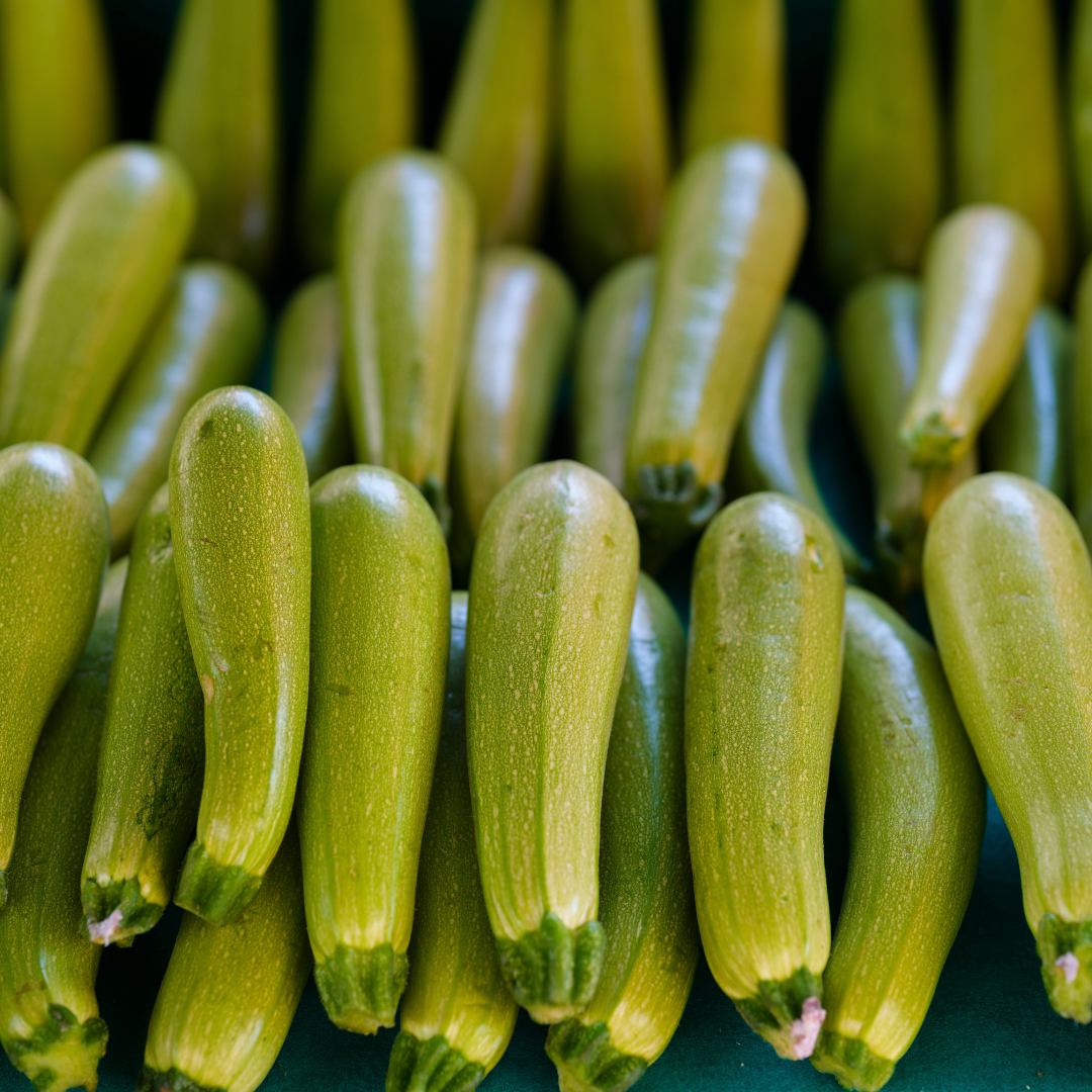 Courgette "Ortolana di Faenza" | Biologische erfgoedzaden