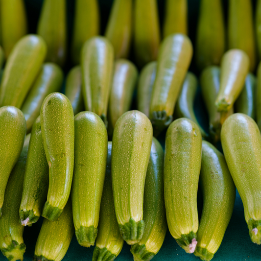 Courgette "Ortolana di Faenza" | Biologische erfgoedzaden | Oud Ras