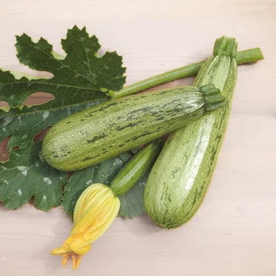 Twee courgettes 'Caserta', lichtgroen met donkergroene strepen, op een houten tafel

