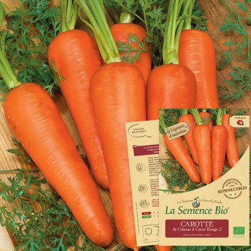 biologisch oude rassen zaden - wortel - colmar coeur rouge - seeds of regeneration