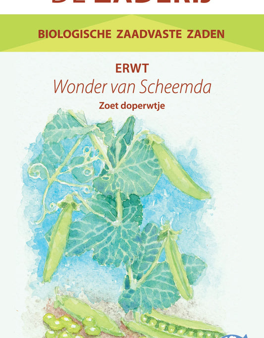 Doperwt Het Wonder van Scheemda | Biologische erfgoedzaden | Oud Ras