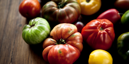 Tomaat Box – 2 Exclusieve Variëteiten | Biologische Oude Rassen