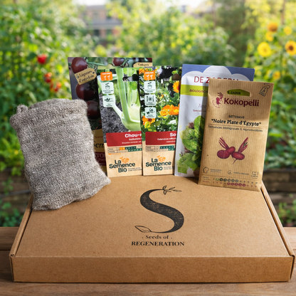 Kinderzaaibox – 6 Biologische Zaden, Wollen Potten & Zaaikalendar | Oud Ras Starterset