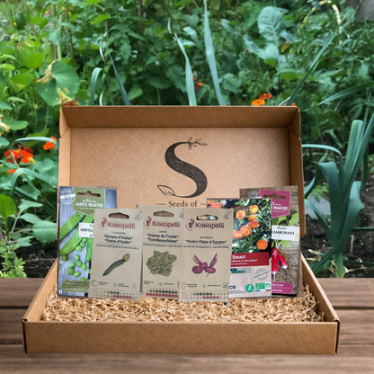 Late Starter Zadenpakket – 6 Biologische Oud Ras Zaden voor een Zomeroogst