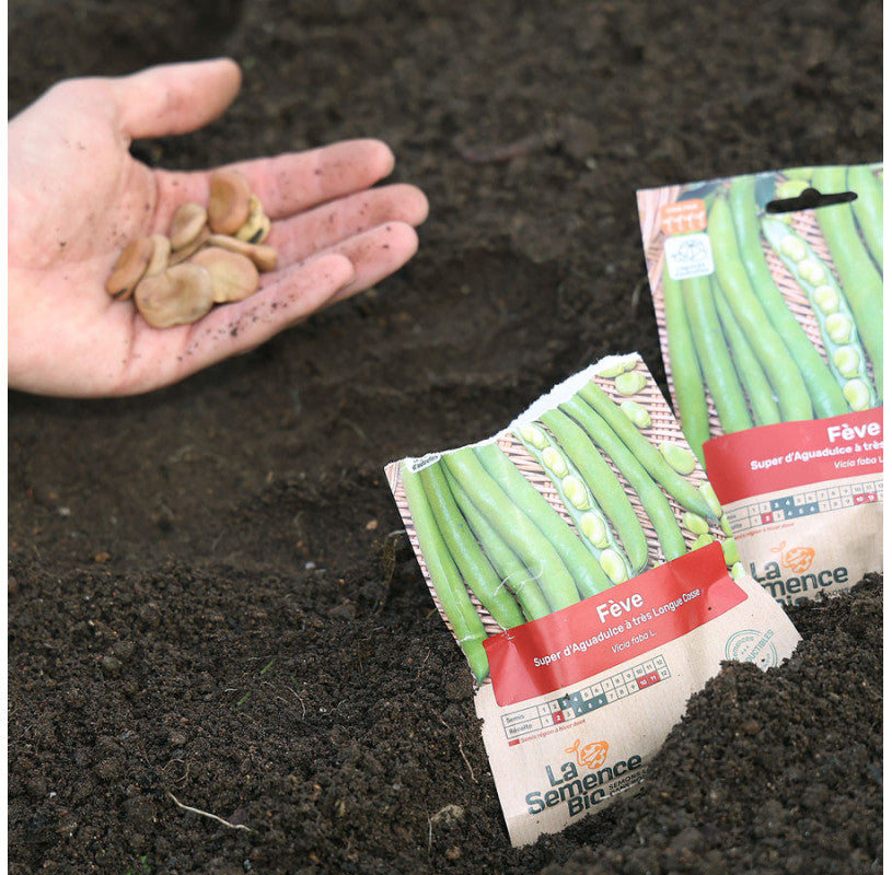 Tuinboon Superaquadulce | Biologische erfgoedzaden | Oud Ras