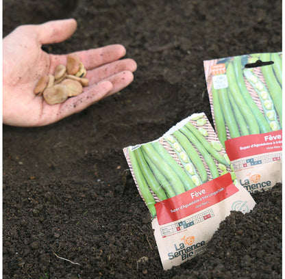 Tuinboon Superaquadulce | Biologische erfgoedzaden | Oud Ras