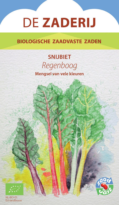 snijbiet-regenboog-oude-rassen-biologisch-seedsofregeneration