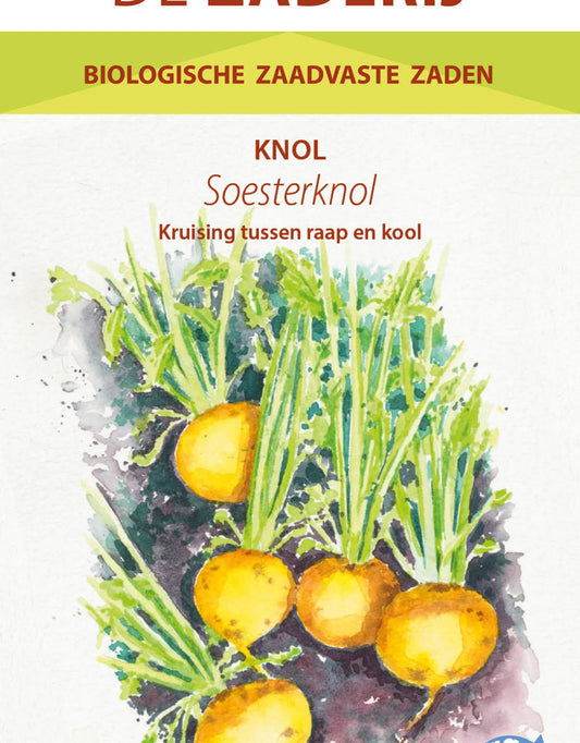 Meiraap 'Soesterknol' – Koningskost uit Soest | Biologisch