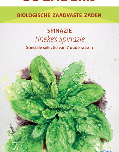 Spinazie "Tineke's spinazie" | Biologische erfgoedzaden | Oud Ras