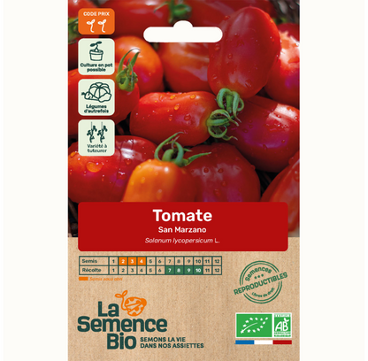 San Marzano tomatenzaden op houten ondergrond — Seeds of Regeneration